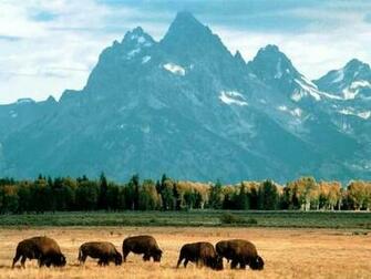 Jackson Hole Places I Want To Go
