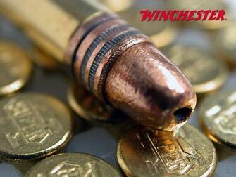 Winchester International