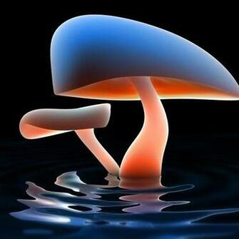 Neon Mushroom Wallpaper HD