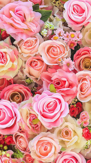 Rose Bouquet Screen Fill Picture Wallpaper