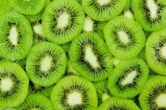 Kiwi HD Wallpaper Wallpaperin4k Net