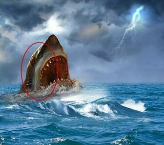 Pin Jaws The Shark Is Coming Widescreen HD On