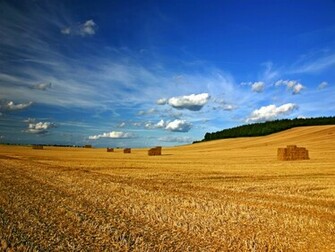 Laurie Raised By Teenagers Beautiful Landscape Nature Wallpaper