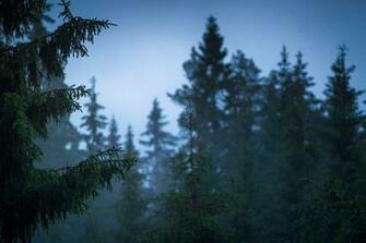 Finland Wallpaper