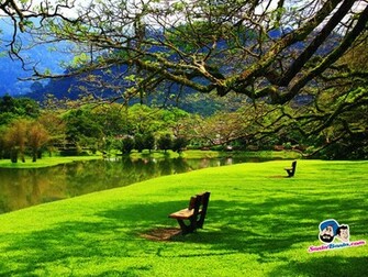 Landscapes Wallpaper