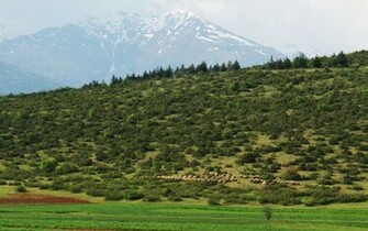 Tetovo Macedonia Wallpaper