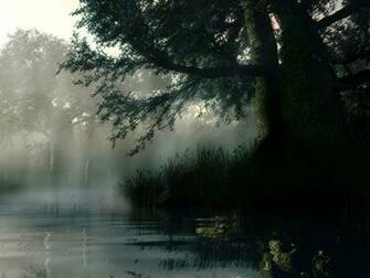 Beautiful Rain Wallpaper For Desktop Background Image Picture