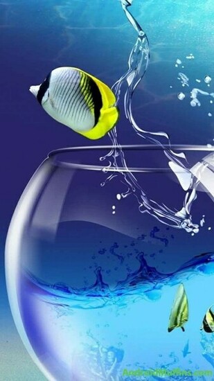 HD Wallpaper Samsung Galaxy