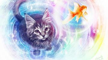 Cat Fish Pet Water Art Gold Wallpaper Background Image