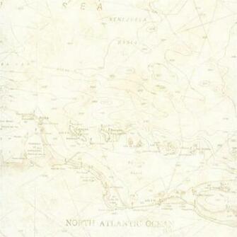 Wallpaper Designer Nautical Charts Map Beige And Tan