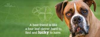 Best Friend