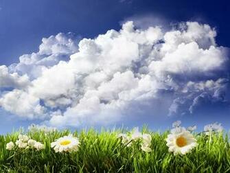 Random Great Flowers Wallpaper Desktop Background Full Screen