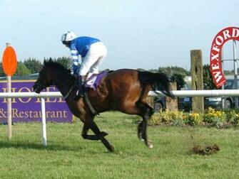Grass Wallpaper Horse Racing Pictures