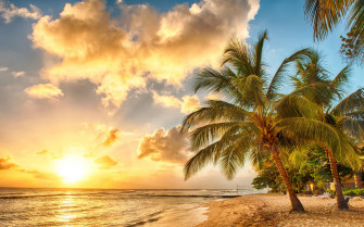 Ocean Beach Paradise Tropical Palms Sea