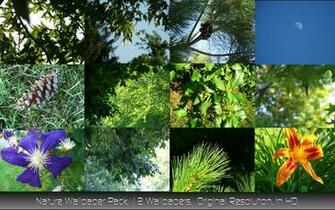 Nature Wallpaper Pack