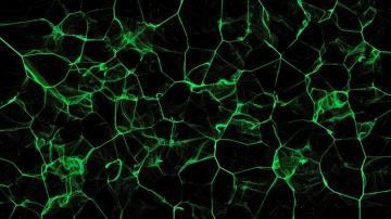 Cool Green And Black Wallpaper Computer Net