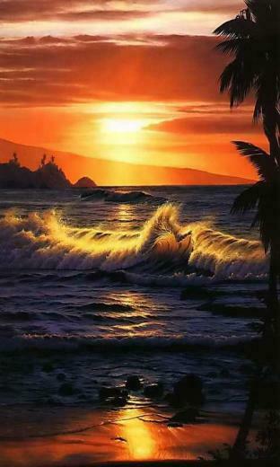 Sunset Screensaver Wallpaper