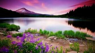Beautiful Sunrise Nature Wallpaper Duran Price