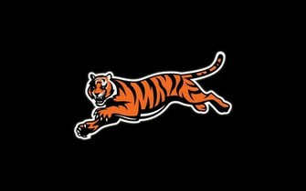 Cincinnati Bengals Nfl Football Gs Wallpaper