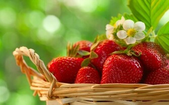 Strawberry Wallpaper Jpg