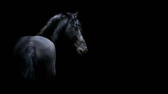 Dark Horse Wallpaper
