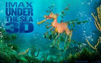 Under The Sea 3d Wallpaper