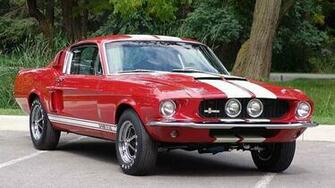 Shelby Gt Wallpaper HD Desktopinhq