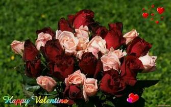 Thumbs Valentine Roses Dsc07744 Ws Jpg