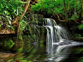 Green Forest Water Stream Wallpaper