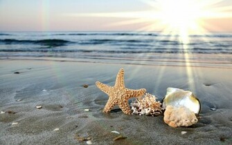 Sunset Exotic Beach HD Wallpaper