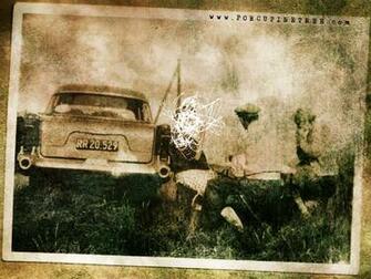Porcupine Tree Official Website