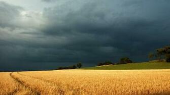 Storm Golden Field Clouds HD Wallpaper Hq Desktop