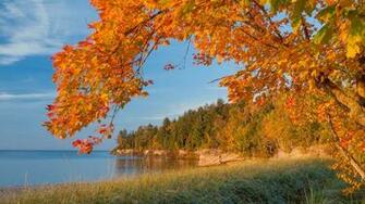 Autumn Lake Trees Landscape Michigan Wallpaper Background