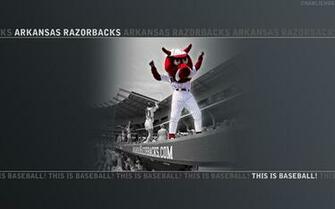 Razorback Desktop Background Stuff Gallery Computer