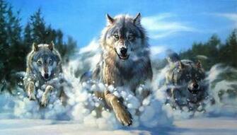 Lobos Alcateia E Comportamento Leofotoarte