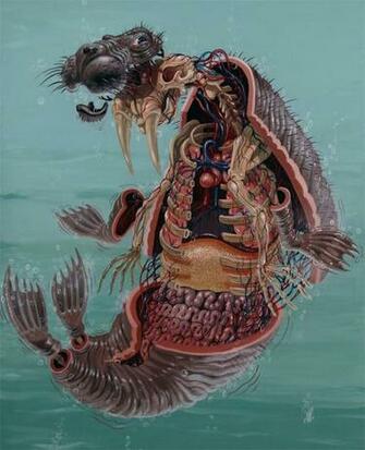 An Inside Look The Work Of Street Artist Nychos