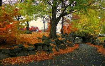 Random Autumn HD Widescreen Wallpaper