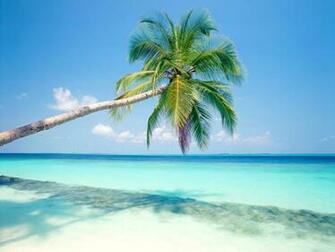 Tropical Island Wallpaper HD