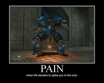 Pin Funny Halo