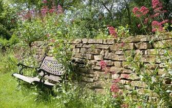 Bench Seat And Wild Flowers Flower Background Pixels