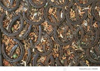 Texture Horseshoe Background Stock Picture I1955498 At