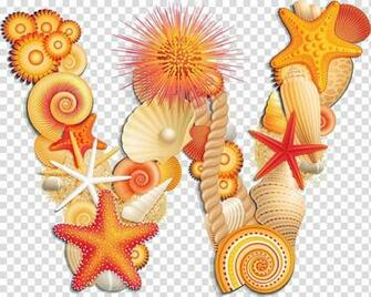 Seashell Letter Alphabet J W Transparent Background Png