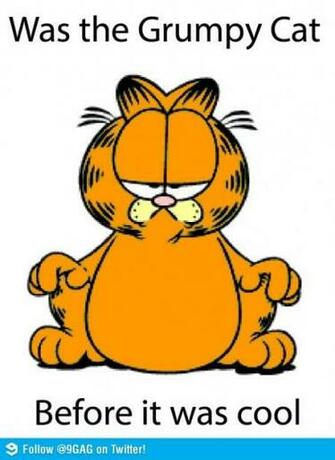 Garfield The Original Grumpy Cat Funny Pictures