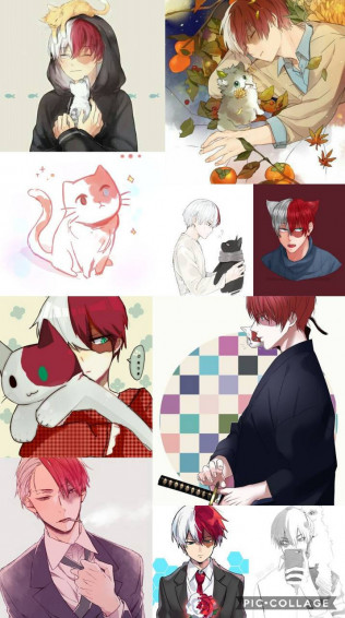 Todoroki Cute HD Wallpaper