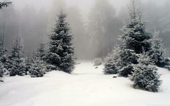 Winter Jpg