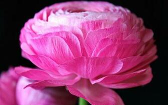 Background Widescreen Best Wallpaper High Definition