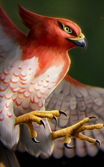 Talonflame Pokemon Nexus Samsung Galaxy Tab Note