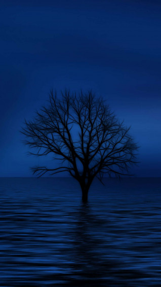 Blue Phone Wallpaper