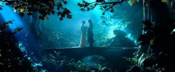 Perfect Arwen Hair And Make Up Research Ideas Lord Of