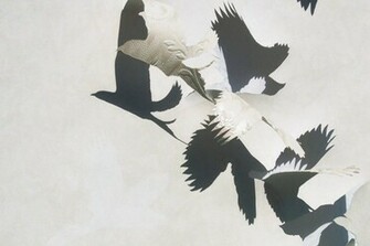 Bird Silhouette Flying Away Wallpaper Design